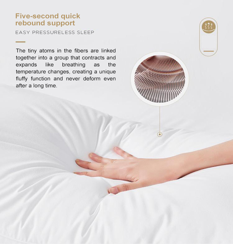 Queen Comfortable Microfiber Hotel Pillow