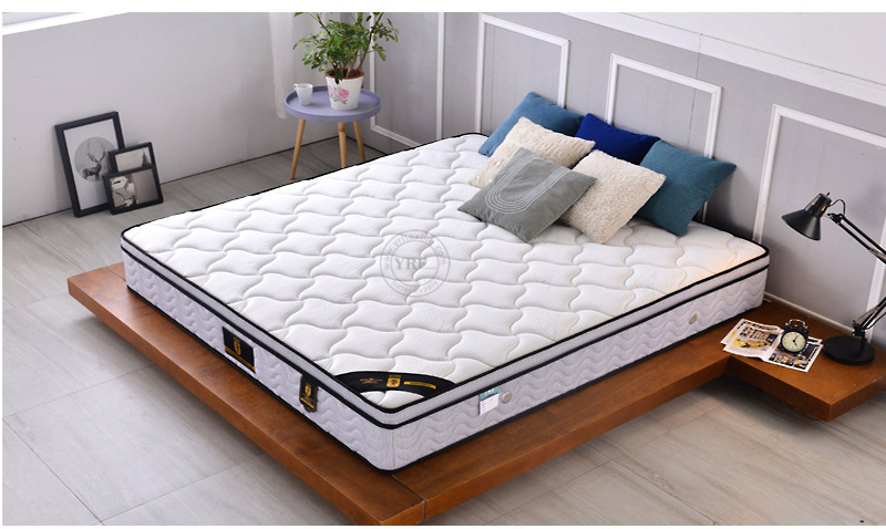 soft hard dual-purpose bed homestay Mattress