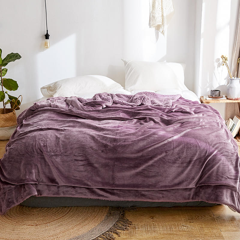Raschel Blanket Violet For Single Size