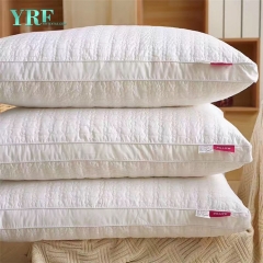 Almohadas pequeñas universitarias profesionales