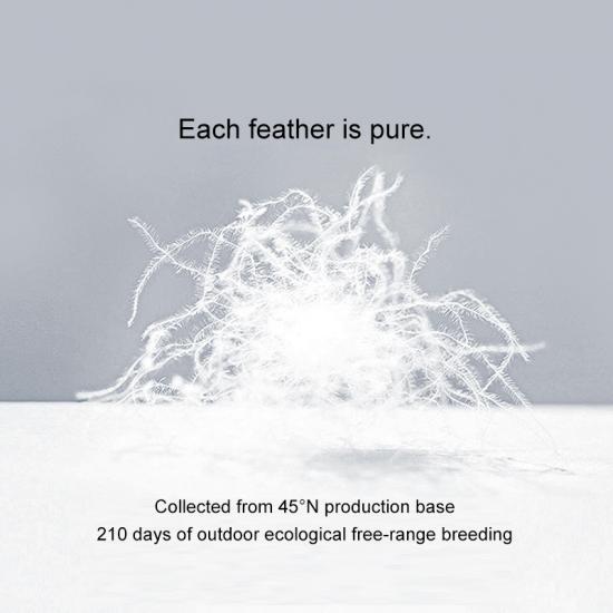 Plumón de ganso chino lavable 100% algodón cómodo personalizado de lujo